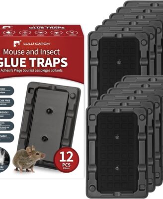 Gaming Accessories